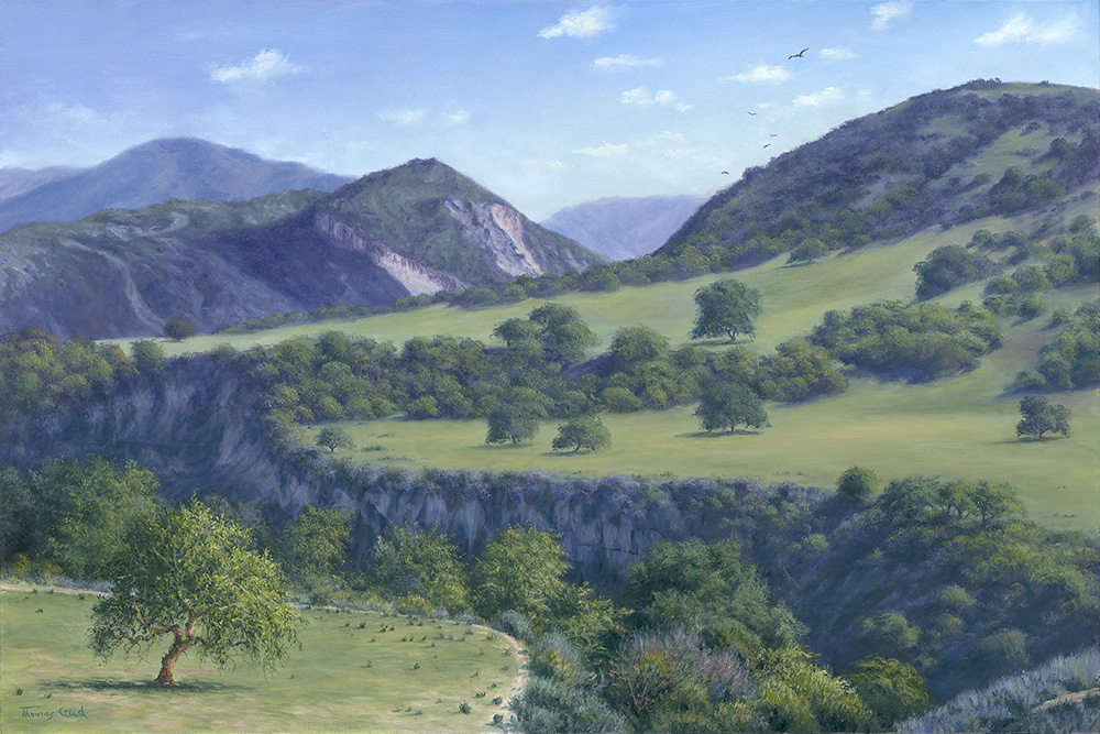 Arroyo Seco Ravine | Thomas Creed, Fine Artist