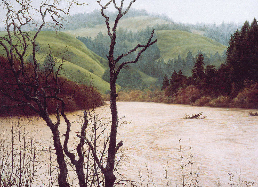 Banks of a Swollen River | Thomas Creed, Fine Artist