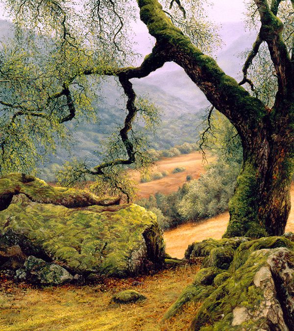 Welcome To The New Thomas Creed Fine Art Website!