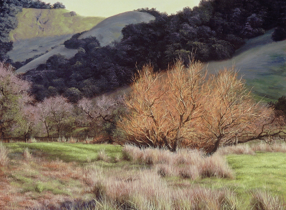Bennett Valley | Thomas Creed, Fine Artist