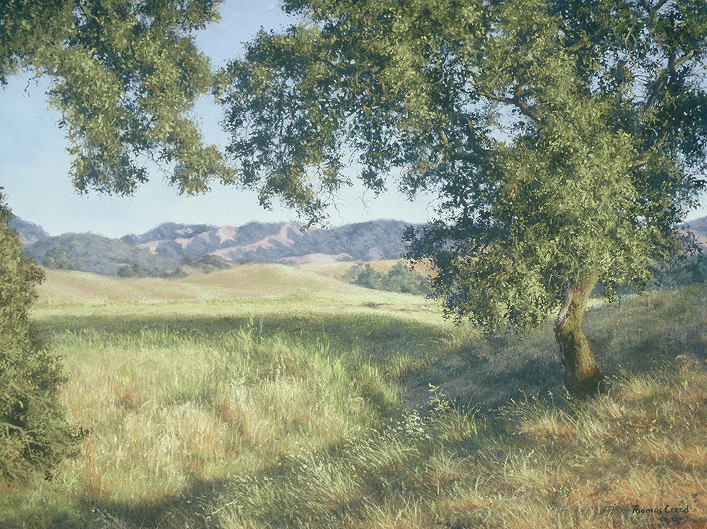 Blue Oak in Warm Light | Thomas Creed, Fine Artist