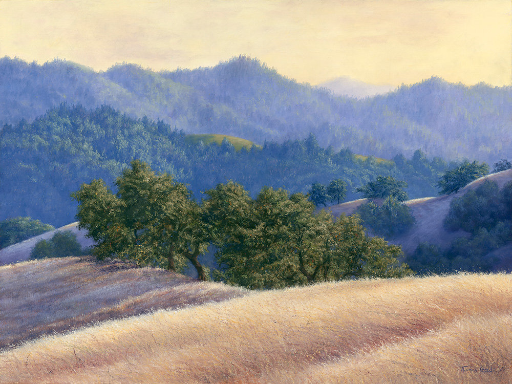 Coastal Mountain Shadows | Thomas Creed, Fine Artist