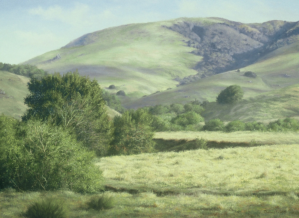 Coastal Range of Sonoma | Thomas Creed, Fine Artist