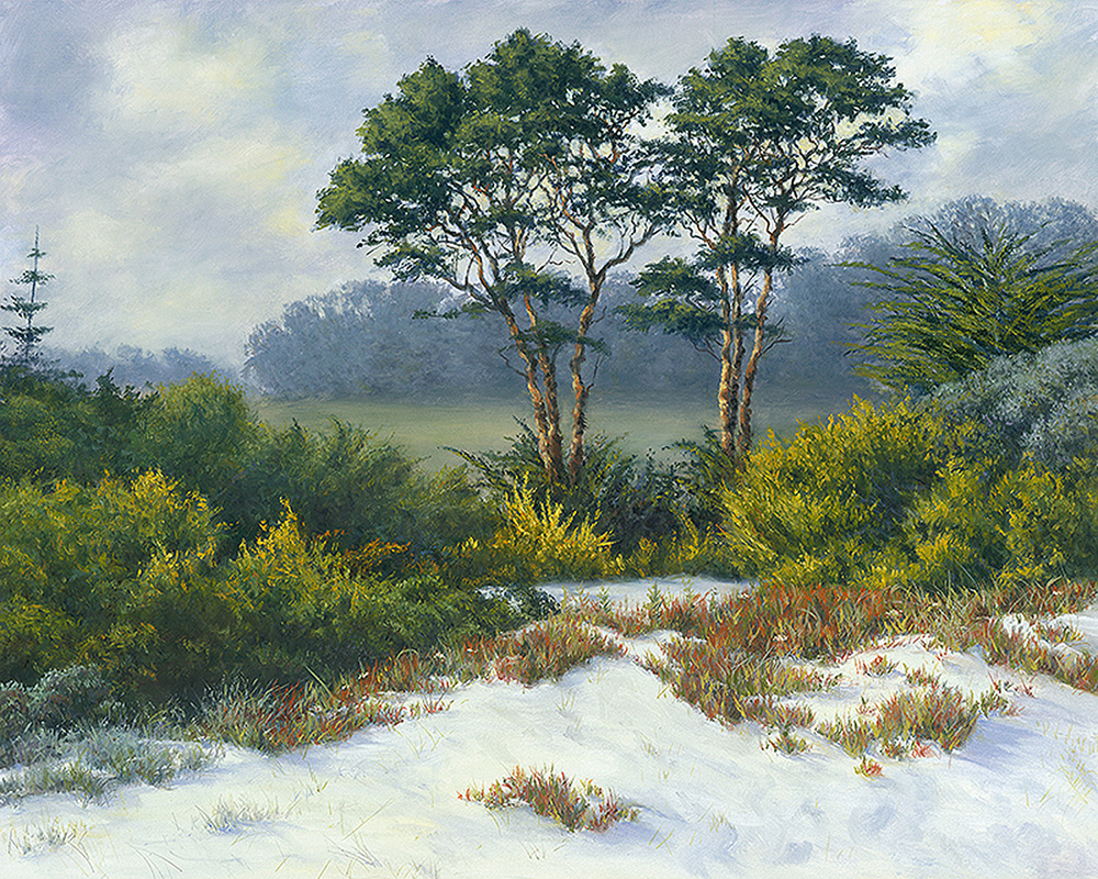 Cypress Beach II | Thomas Creed, Fine Artist