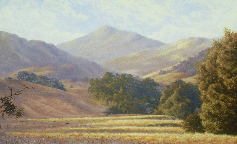 Edge Of A Thistle Field | Thomas Creed, Fine Artist