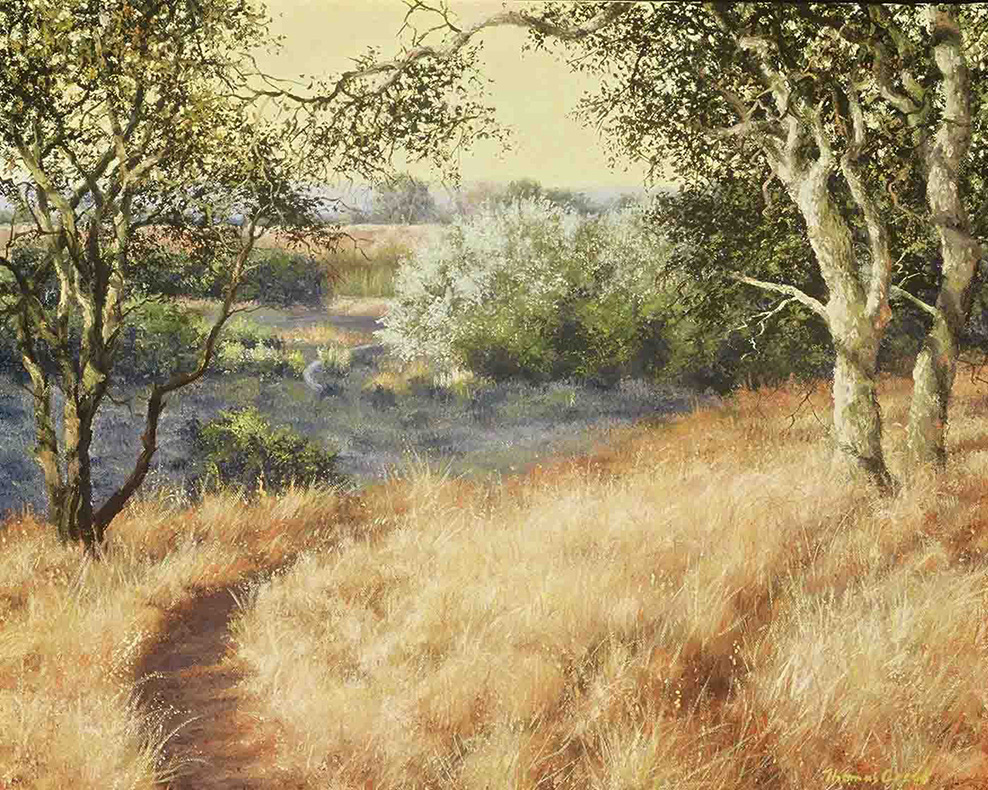 Foothill Regional Trail | Thomas Creed, Fine Artist