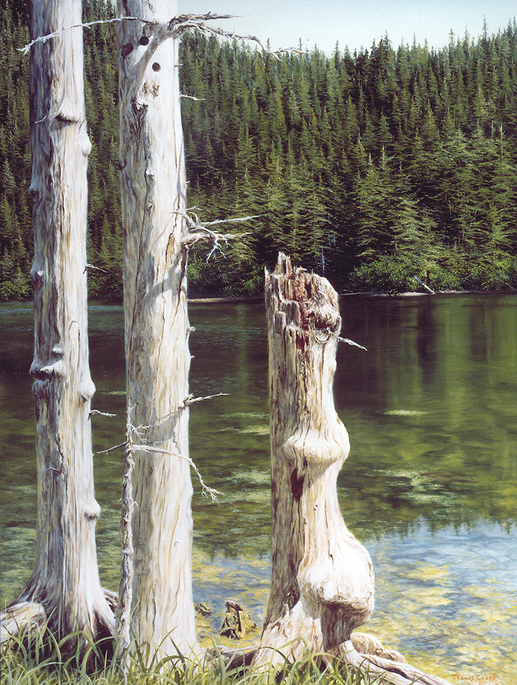 Island Lagoon Alaska, Thomas Creed, Fine Artist