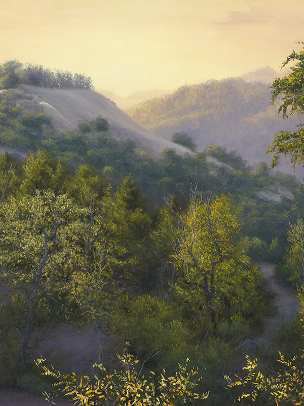 Lake Sonoma Morning | Thomas Creed, Fine Artist