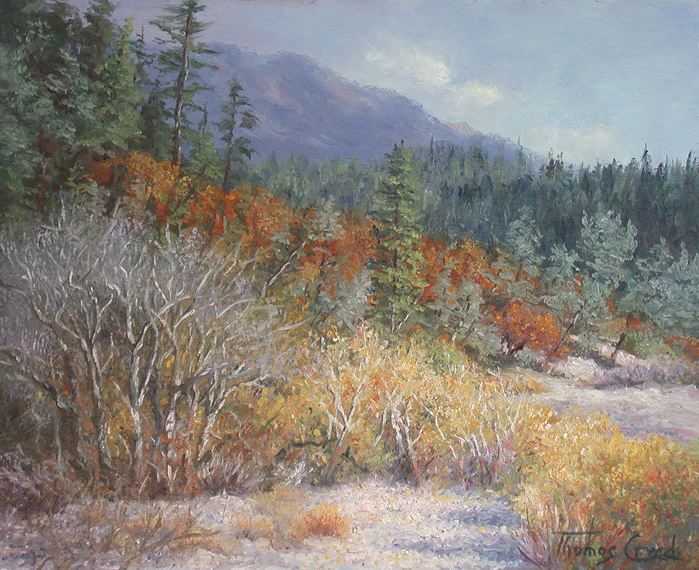 Mendocino Fall | Thomas Creed, Fine Artist