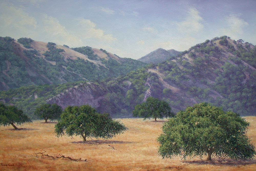 Mid Summer Afternoon | Thomas Creed, Fine Artist