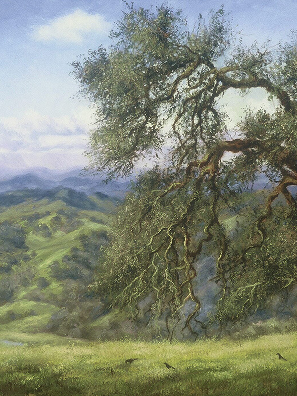 Sonoma Meets Napa | Thomas Creed, Fine Artist