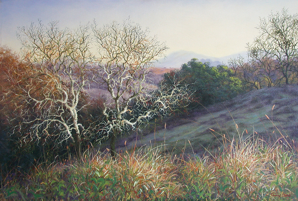Twin Oaks In Morning Light | Thomas Creed, Fine Artist