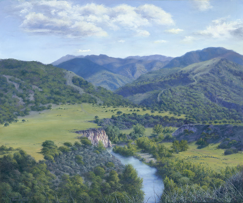 Ventana Wilderness | Thomas Creed, Fine Artist