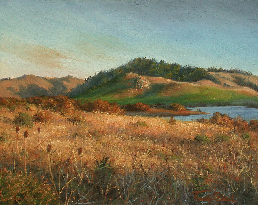 West County Sunset | Thomas Creed, Fine Artist