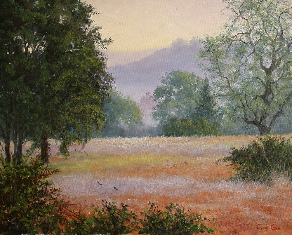Westside Morning | Thomas Creed, Fine Artist